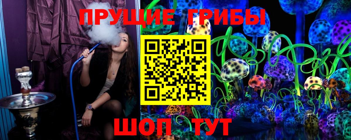 Псилоцибиновые грибы Magic Shrooms  дарнет шоп  Псилоцибиновые грибы GOLDEN TEACHER  Славянск-на-Кубани  Вход с VPN 