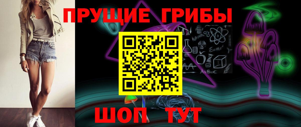 Псилоцибиновые грибы Psilocybine cubensis Славянск-на-Кубани